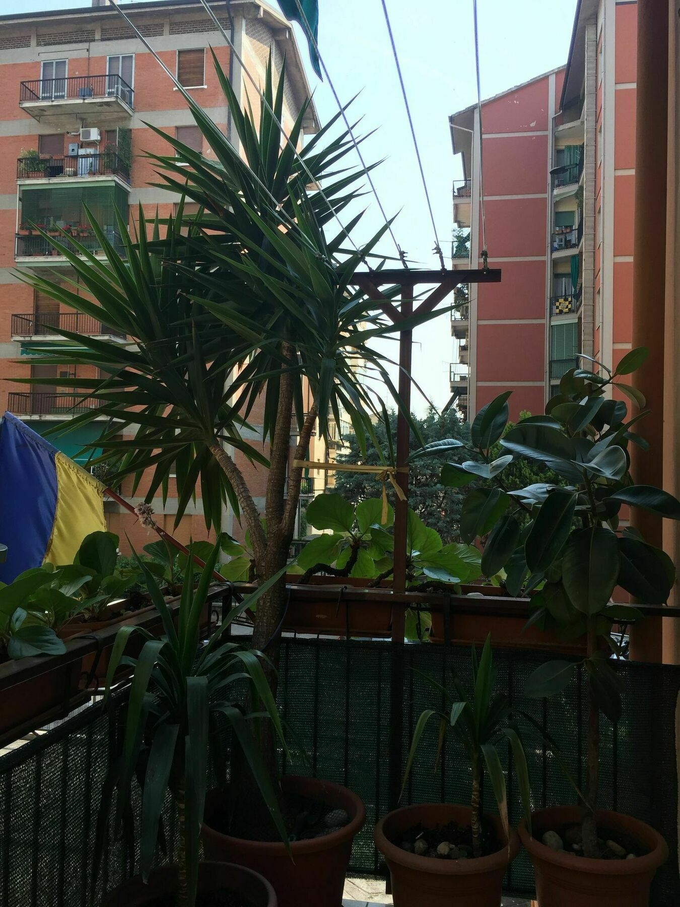 Locazione Turistica Sole Casa de hóspedes